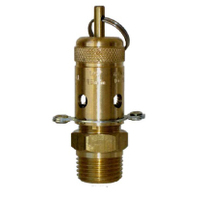 04-BR08-150 1/2 BSPT Ring Lift Relief Valve - 1035 KPA (150 PSI)