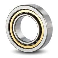 NU1007MC3 Rollway Cylindrical Roller Bearing (35x62x14)