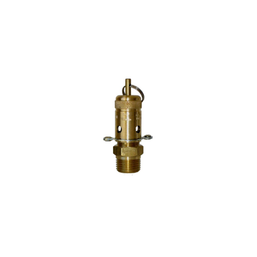 04-BR04-130 1/4 BSPT Ring Lift Relief Valve - 900 KPA (130 PSI)