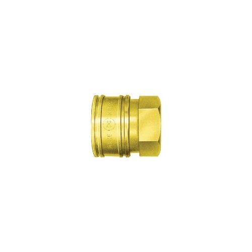 08-NT-2TSF 1/4 Female Brass Nitto TSP Socket