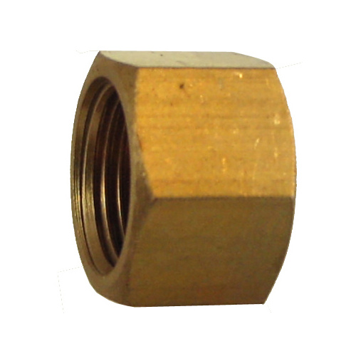 02N33-02 #33 1/8 NPT Cap (02-N3301)