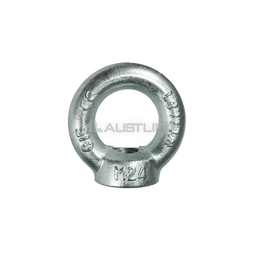 602030 Eye Nut DIN582 30mm Z/P 3.6T